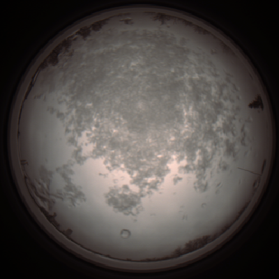 capture_202112101048_3814.Png