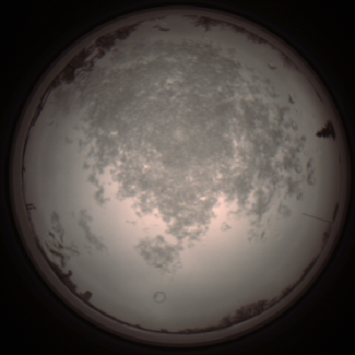 capture_202112101401_4007.Png