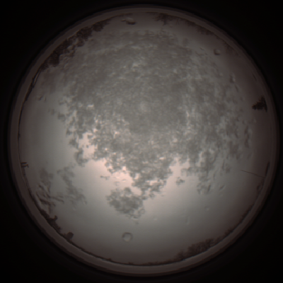 capture_202112101153_3879.Png