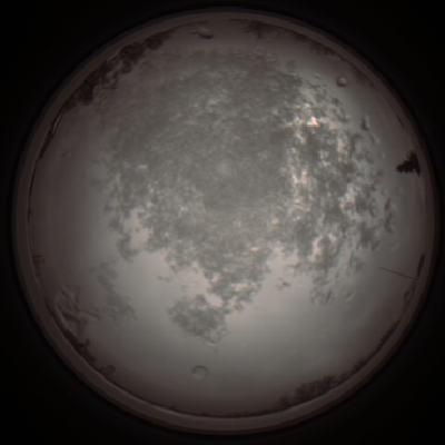 capture_202112101211_3897.Png