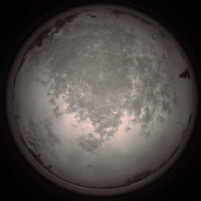 capture_202112101204_3890.Png