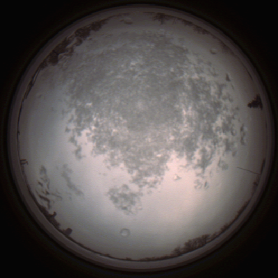 capture_202112101434_4040.Png