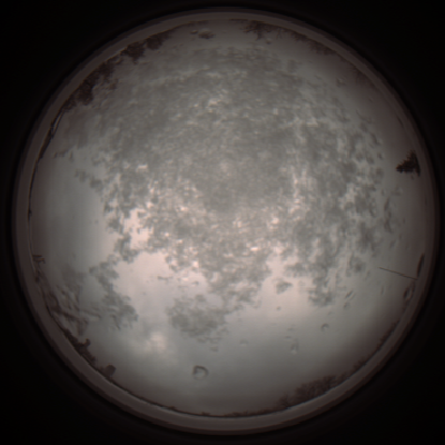 capture_202112101032_3798.Png