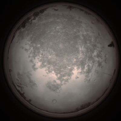 capture_202112101205_3891.Png