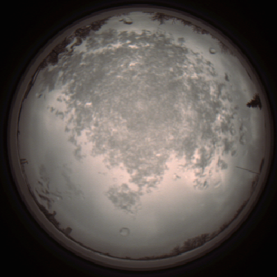 capture_202112101300_3946.Png