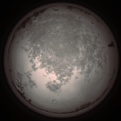 capture_202112101138_3864.Png