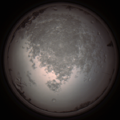 capture_202112101413_4019.Png