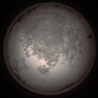 capture_202112101152_3878.Png