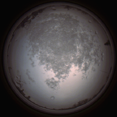 capture_202112101456_4062.Png