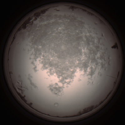 capture_202112101422_4028.Png