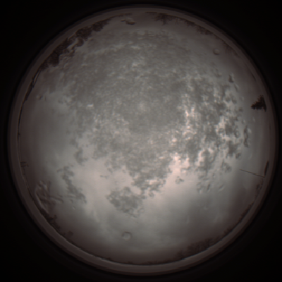 capture_202112101241_3927.Png