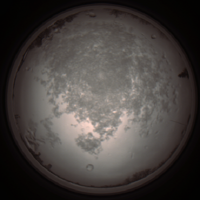 capture_202112101130_3856.Png