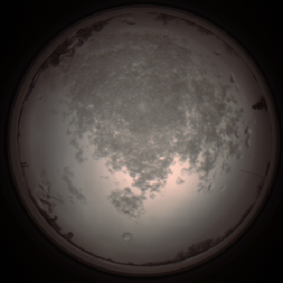 capture_202112101406_4012.Png