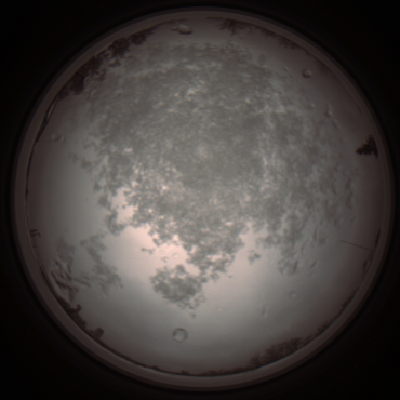 capture_202112101132_3858.Png