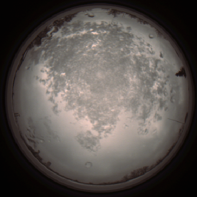 capture_202112101259_3945.Png