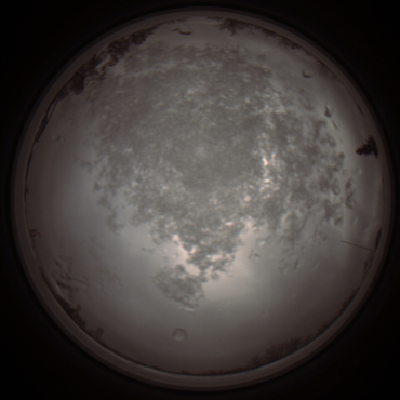capture_202112101252_3938.Png