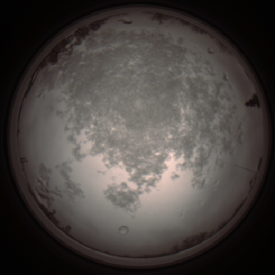 capture_202112101201_3887.Png