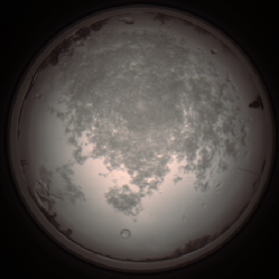 capture_202112101127_3853.Png