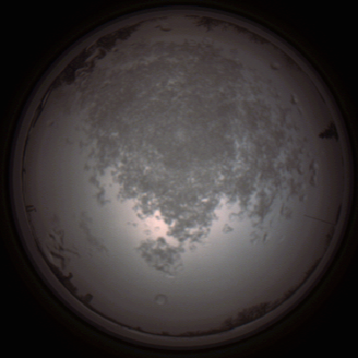 capture_202112101447_4053.Png