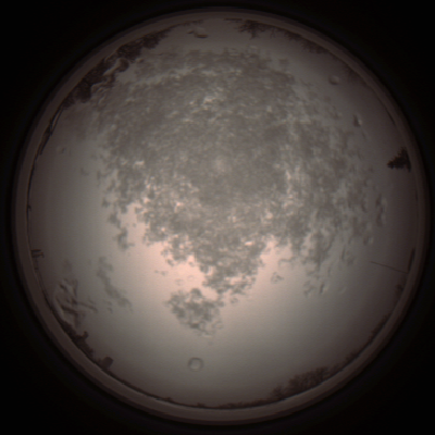 capture_202112101425_4031.Png