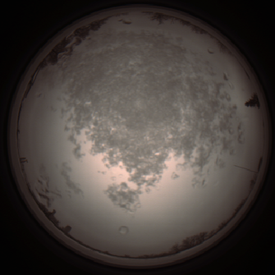 capture_202112101358_4004.Png