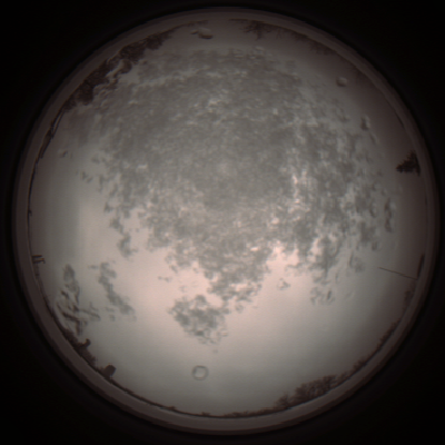 capture_202112101336_3982.Png