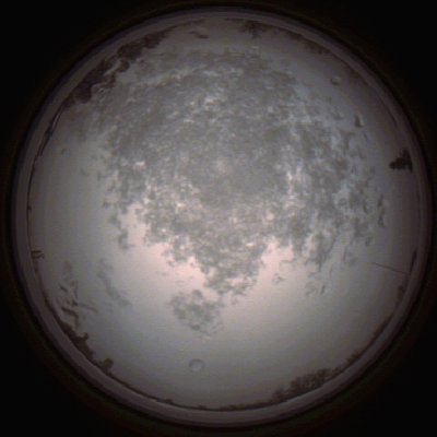 capture_202112101448_4054.Png