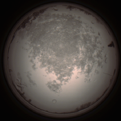 capture_202112101323_3969.Png