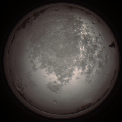 capture_202112101212_3898.Png