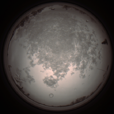capture_202112101120_3846.Png