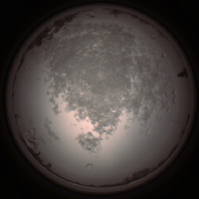 capture_202112101428_4034.Png