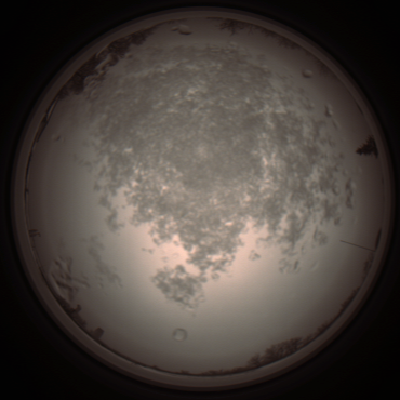 capture_202112101327_3973.Png