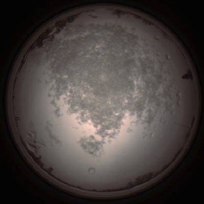 capture_202112101427_4033.Png