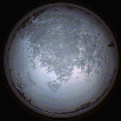 capture_202112101508_4074.Png
