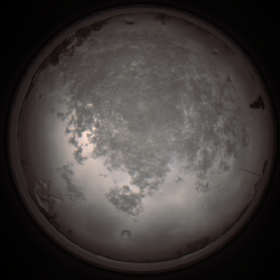 capture_202112101229_3915.Png