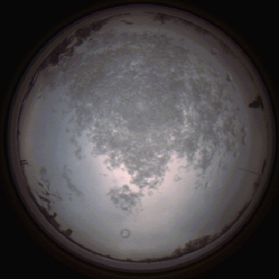 capture_202112101501_4067.Png