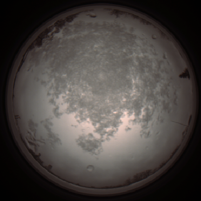 capture_202112101202_3888.Png