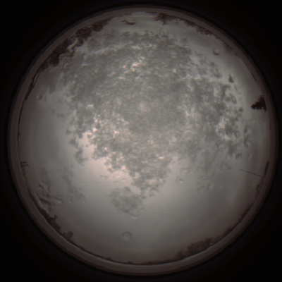 capture_202112101256_3942.Png