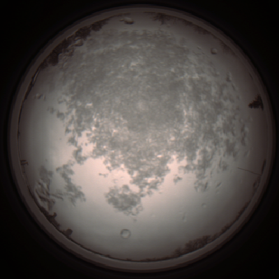 capture_202112101136_3862.Png