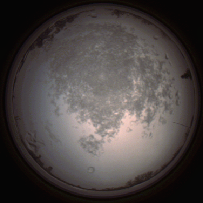 capture_202112101452_4058.Png