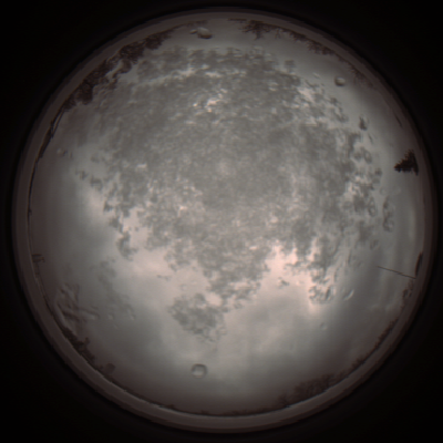 capture_202112101246_3932.Png