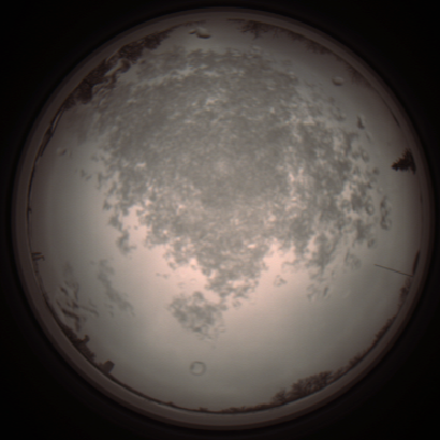 capture_202112101353_3999.Png