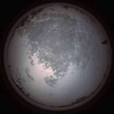 capture_202112101414_4020.Png