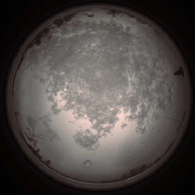 capture_202112101113_3839.Png