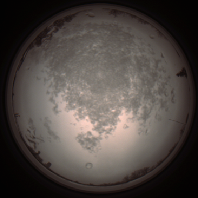 capture_202112101404_4010.Png