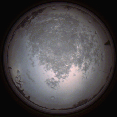 capture_202112101459_4065.Png