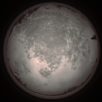 capture_202112101206_3892.Png