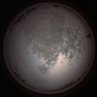capture_202112101453_4059.Png