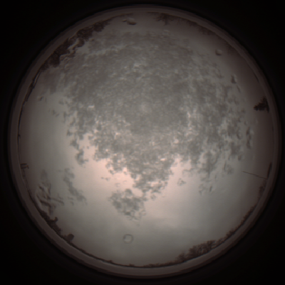 capture_202112101343_3989.Png