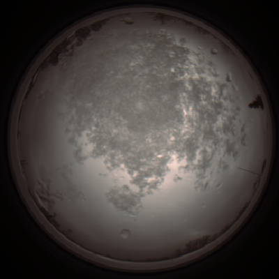 capture_202112101213_3899.Png